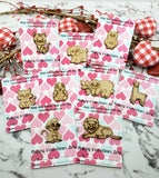 Valentine Cards | Preschool Elementary School Valentines | Non Candy Valentines | Valentine Pocket Hugs | Valentine Gifts | Kids Valentines