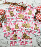 Valentine Cards | Preschool Elementary School Valentines | Non Candy Valentines | Valentine Pocket Hugs | Valentine Gifts | Kids Valentines
