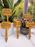 Wood Plant Stakes | Funny Humor for Gardeners | Great gift for Indoor or Potted Plants | Set of 5 Stained Wooden Stakes | Tell Me I'm Pretty