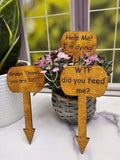 Wood Plant Stakes | Funny Humor for Gardeners | Great gift for Indoor or Potted Plants | Set of 5 Stained Wooden Stakes | Tell Me I'm Pretty