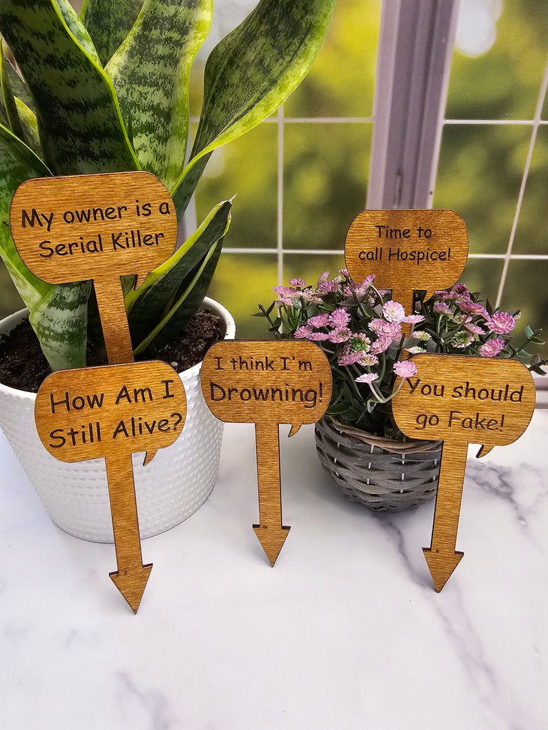 Wood Plant Stakes | Funny Humor for Gardeners | Great gift for Indoor or Potted Plants | Set of 5 Stained Wooden Stakes | Talking Plants