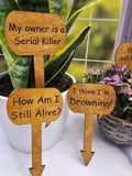 Wood Plant Stakes | Funny Humor for Gardeners | Great gift for Indoor or Potted Plants | Set of 5 Stained Wooden Stakes | Talking Plants