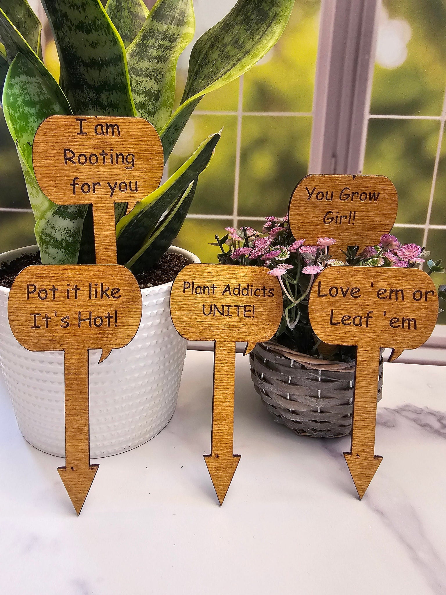 pothos puns Wood Plant Stakes | Funny Puns for Gardeners | Great gift for Indoor o
