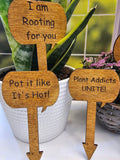 Wood Plant Stakes | Funny Puns for Gardeners | Great gift for Indoor or Potted Plants | Set of 5 Stained Wooden Stakes