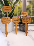 Wood Plant Stakes | Funny Puns for Gardeners | Great gift for Indoor or Potted Plants | Set of 5 Stained Wooden Stakes | Talk Dirty to Me